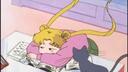 RATS WORLD 🫶 Banner