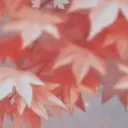 . ♡ . teyvat , high banner