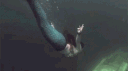Siren's Cove banner