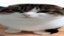 really silly server banner