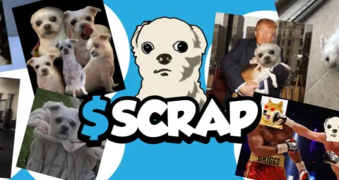 Scrappy Doghouse Discord server banner