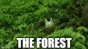 The Forest banner