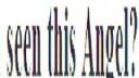 solivagant Banner