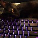 SocialRejects Banner