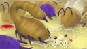flowr.fun banner