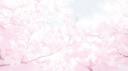 starlight ໒꒱ Banner
