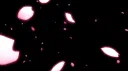 Yokutsu Discord server banner