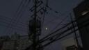 nocturne Banner