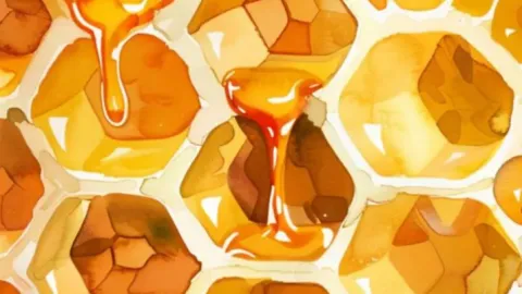 Honeycomb Haven banner