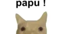 The Papus Games banner
