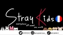 Stray Kids France banner