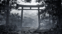 Daimyo × Developing banner
