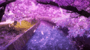 🌸 Maëva Mlv Community 🌸 banner