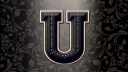 THE U. server banner