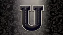 THE U. Discord server banner