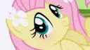 ˚.🎀༘⋆Flutterlandia⋆.ೃ࿔🌸*:・ banner