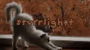 𝐒𝐭𝐯𝐫𝐫𝐥𝐢𝐠𝐡𝐭𝐭.. , Discord server banner