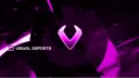 Visual .LOL Tournaments & Esports banner