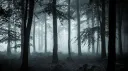 ˚ˑ Ⓧ Slenderman's Mansion [RP] server banner