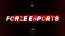 Forze Esports banner