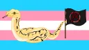 Gender Anarchy! banner
