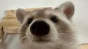 Snowy and Tailz Hangout Server banner