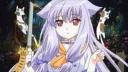 Nine Lives ≽ܫ≼ Discord server banner