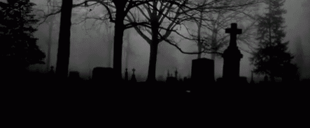 NED banner