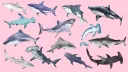 Cult of Gamers | 18+ Discord server banner