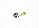 Cat Sports Online Banner