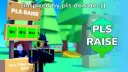 PLS RAISE 💸 banner
