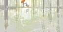 /kiwis Discord server banner
