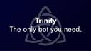Trinity Banner