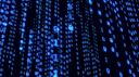 The Network Discord server banner