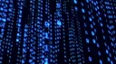 The Network Discord server banner