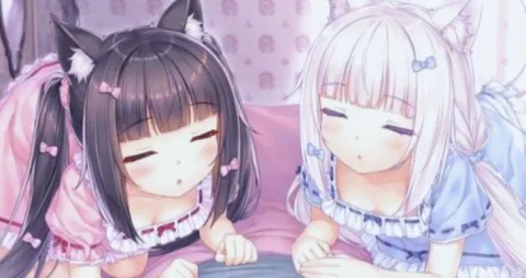 ネコマル banner