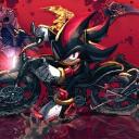 Hedgie's Burrow Banner