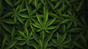 High [Tag] Banner