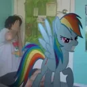 Fear and Hunger Ballpit Banner