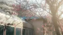sold banner