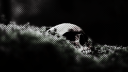 𝐀𝐛𝐞𝐫𝐧𝐚𝐭𝐡𝐲, 𝟐𝟎𝟎𝟔【 18+ 】 server banner