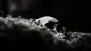𝐀𝐛𝐞𝐫𝐧𝐚𝐭𝐡𝐲, 𝟐𝟎𝟎𝟔【 18+ 】 banner