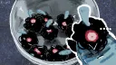 Il Dottore Mains | The Doctor banner