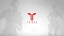 Triads Entertainment banner