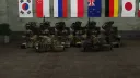 Falcon Battalion banner