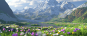 🌌 GIF GALAXY #150K server banner