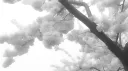 Ceribal Discord server banner