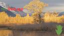The Refuge Banner