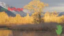 The Refuge banner