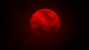 🩸Blood Moon🌑 banner